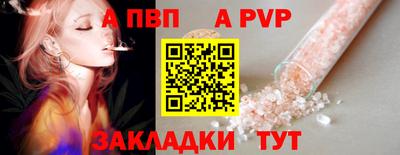 шишки Тверь