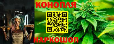ГАЛЛЮЦИНОГЕННЫЕ ГРИБЫ Тара