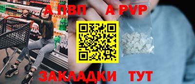 шишки Тверь
