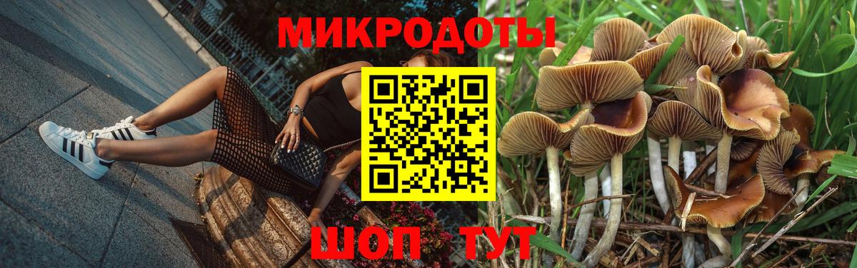 Белебей  закладка  Вход с VPN  Галлюциногенные грибы мухоморы 