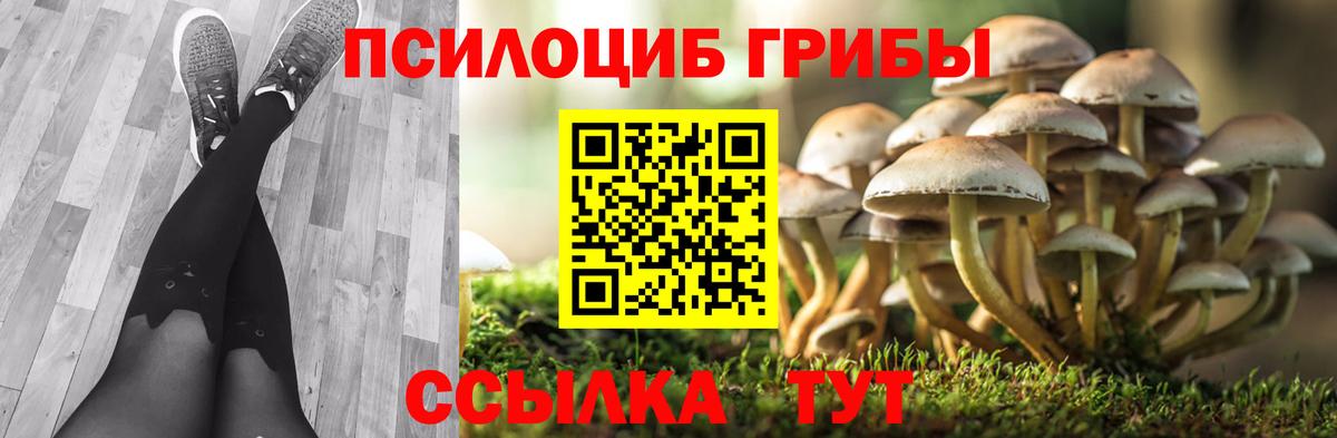Псилоцибиновые грибы прущие грибы Белебей